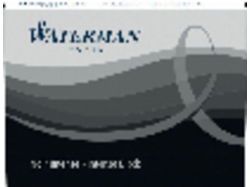 WATERMAN - Cartuchos De Tinta Estandar 8 ud Negro (Ref.S0110850)