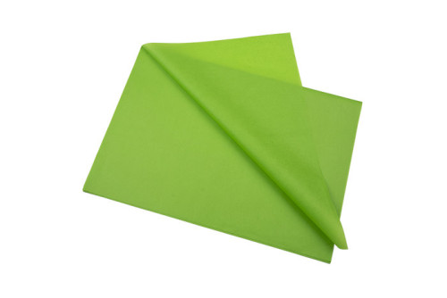 SADIPAL - PAPEL DE SEDA BOLSA 25+1 HOJAS FSC 50X75CM VERDE (Ref.S0718114)