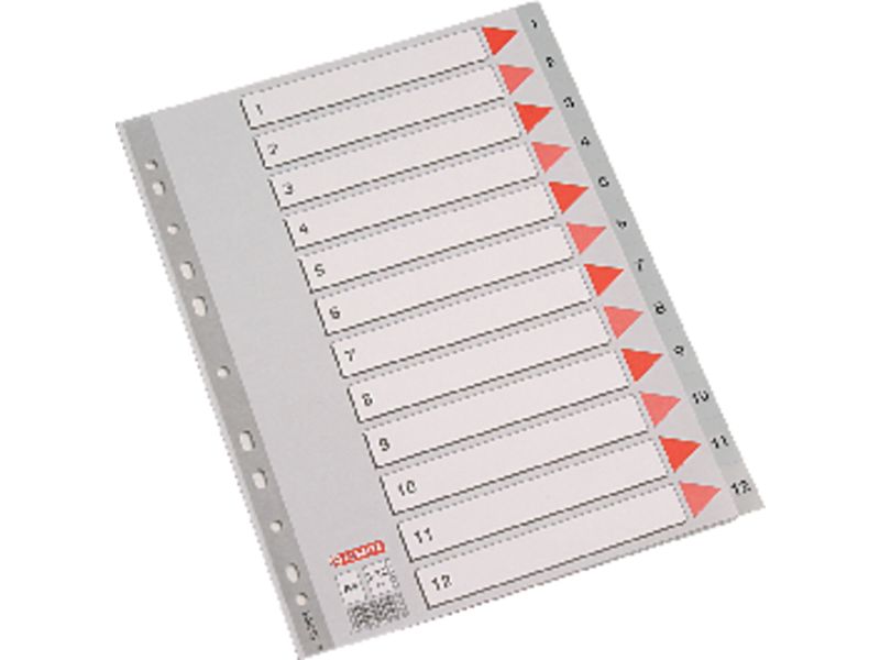 ESSELTE - Separadores 12 posiciones A4 Multitaladro Gris (Ref.100106)